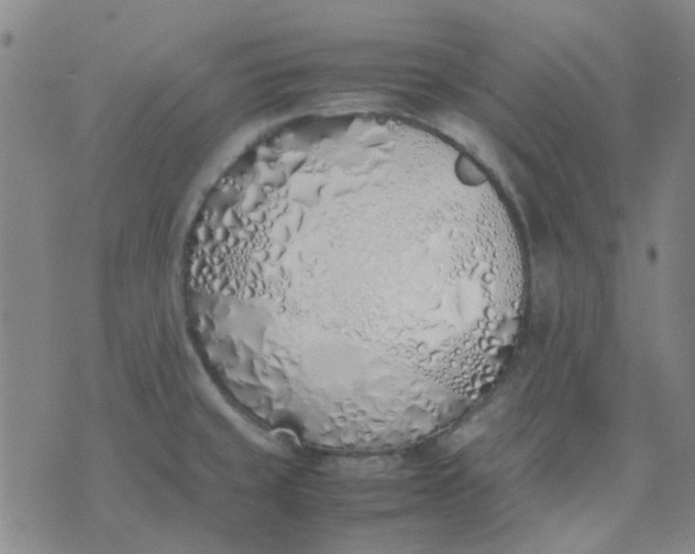 X0000074331429200609082021