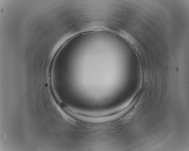 X0000074331430200609082021