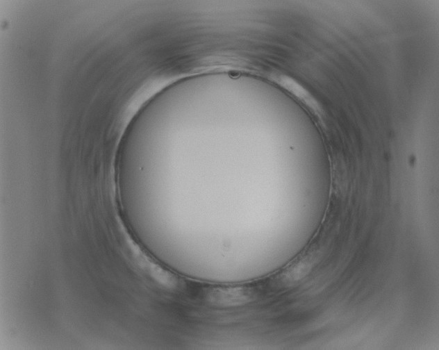 X0000074331431200609082021