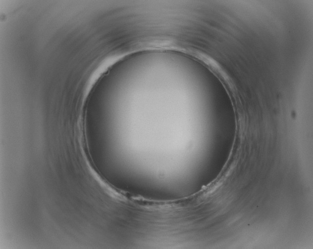 X0000074331432200609082021