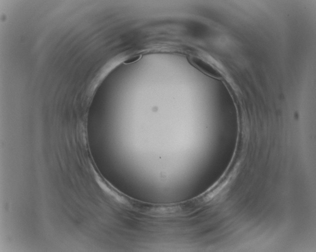 X0000074331433200609082021