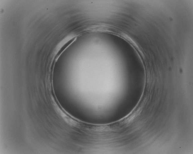 X0000074331434200609082021