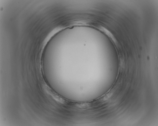 X0000074331435200609082021