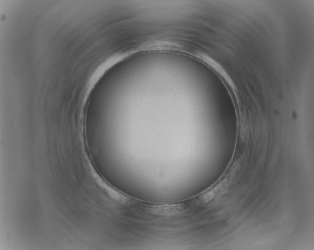 X0000074331437200609082021