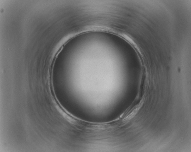 X0000074331438200609082021