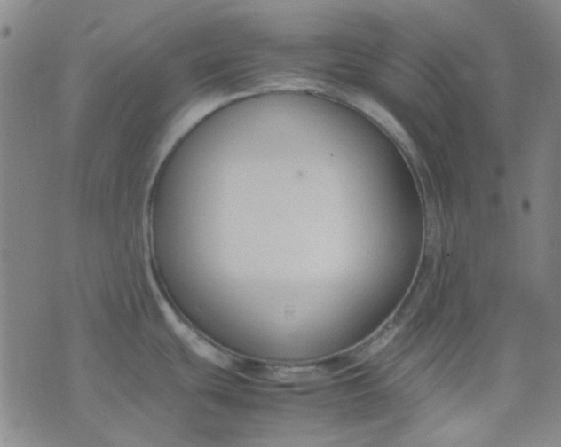 X0000074331439200609082021