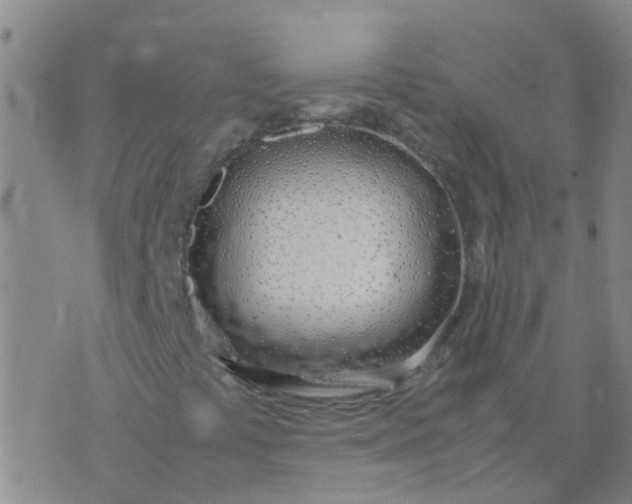 X0000074331441200609082020