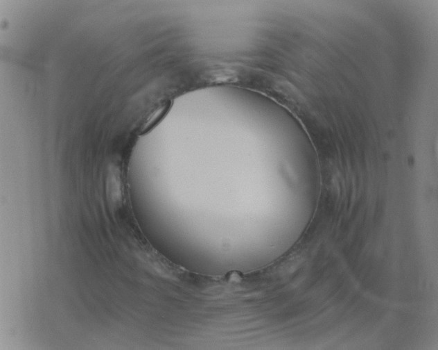 X0000074331442200609082020