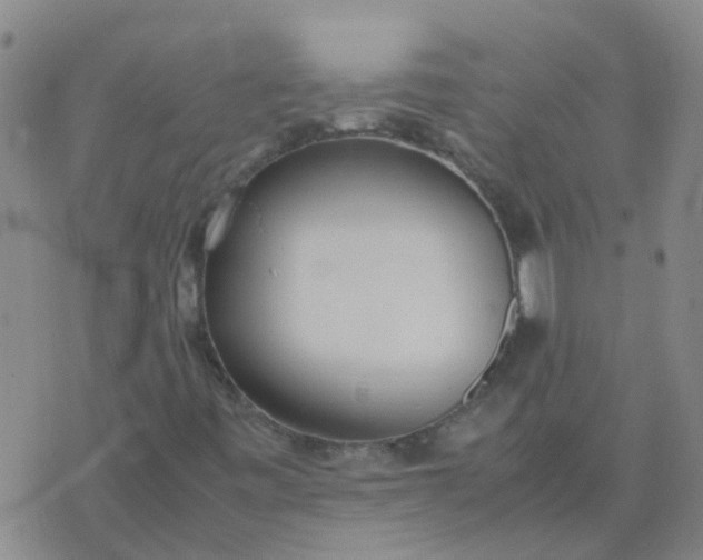 X0000074331443200609082020