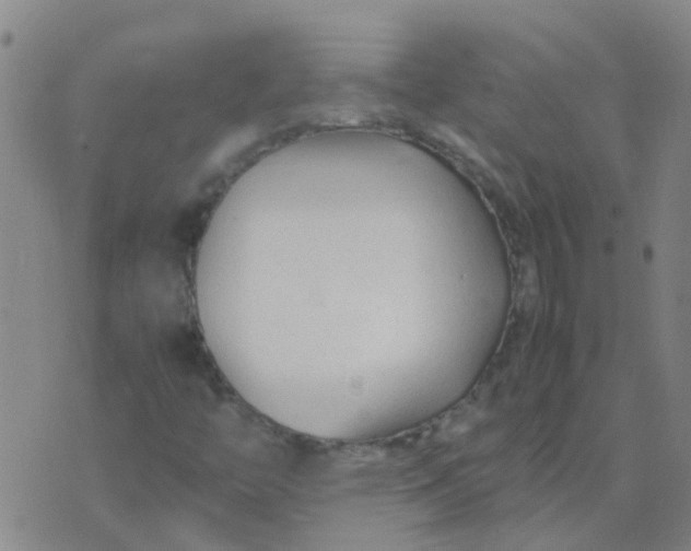 X0000074331446200609082020