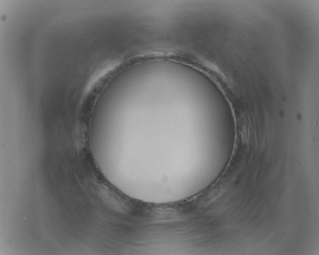 X0000074331448200609082020