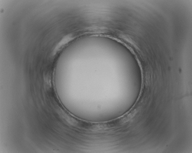 X0000074331451200609082020