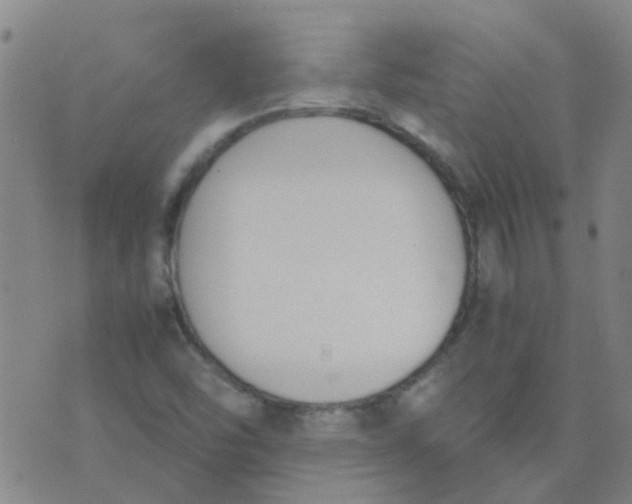 X0000074331454200609082020