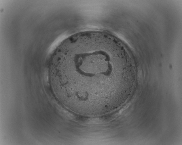 X0000074331455200609082020