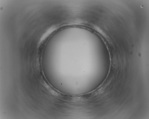 X0000074331456200609082020