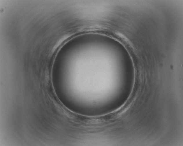 X0000074331457200609082020