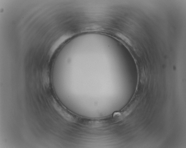 X0000074331458200609082020