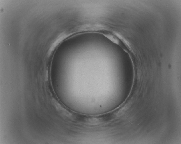 X0000074331459200609082020