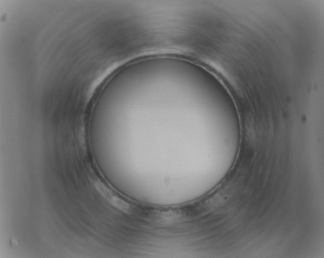 X0000074331460200609082020