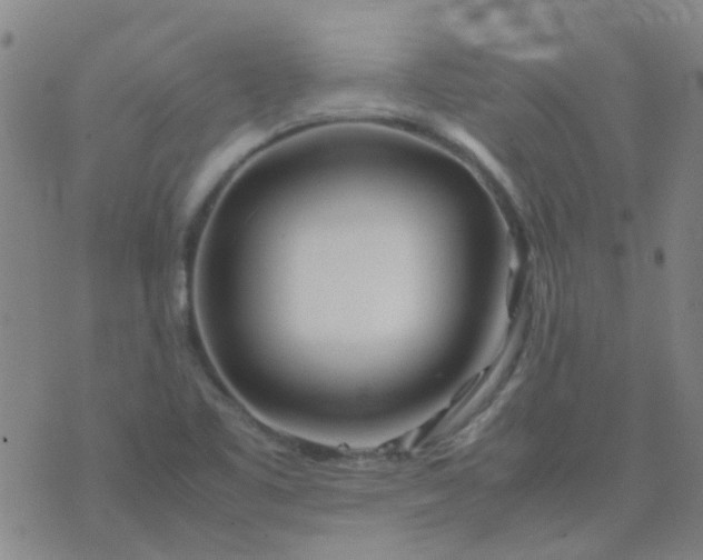 X0000074331461200609082020