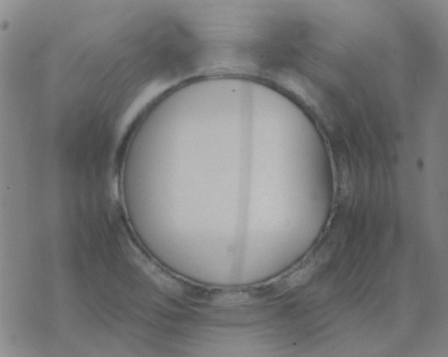 X0000074331462200609082020