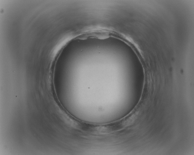 X0000074331463200609082020