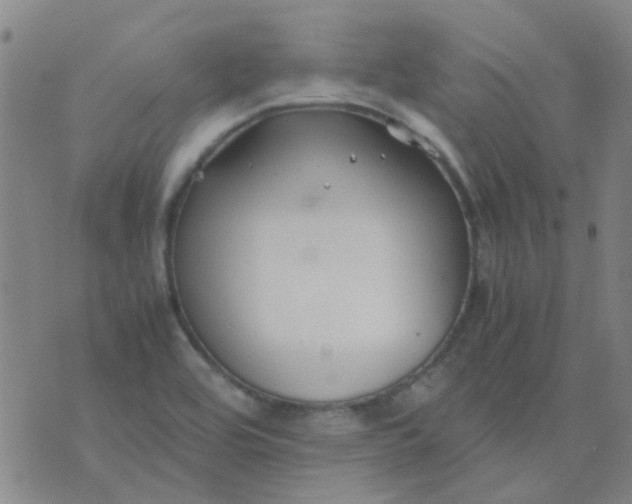 X0000074331464200609082020