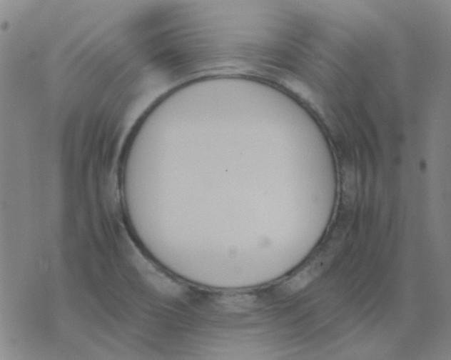 X0000074331466200609082020