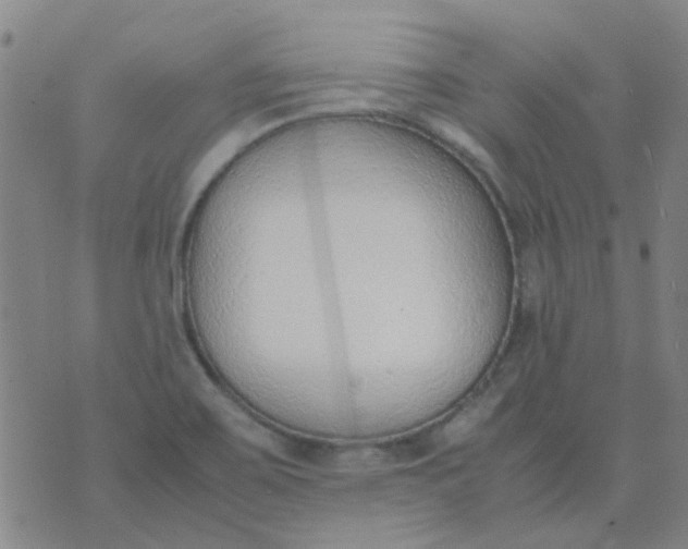 X0000074331467200609082020