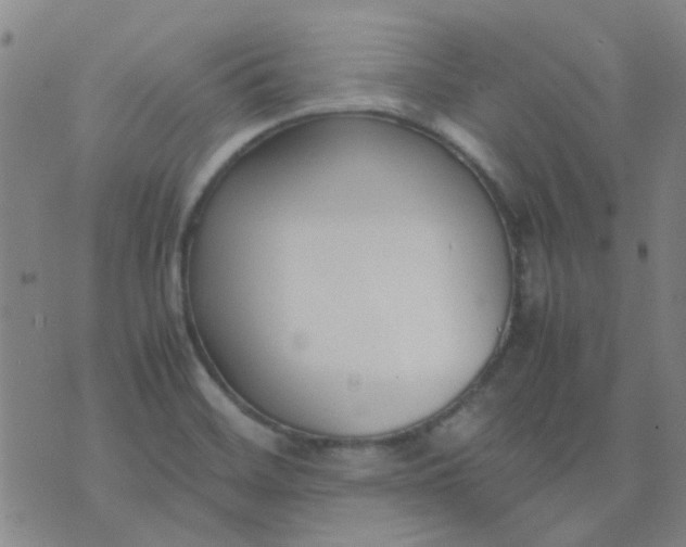 X0000074331468200609082020