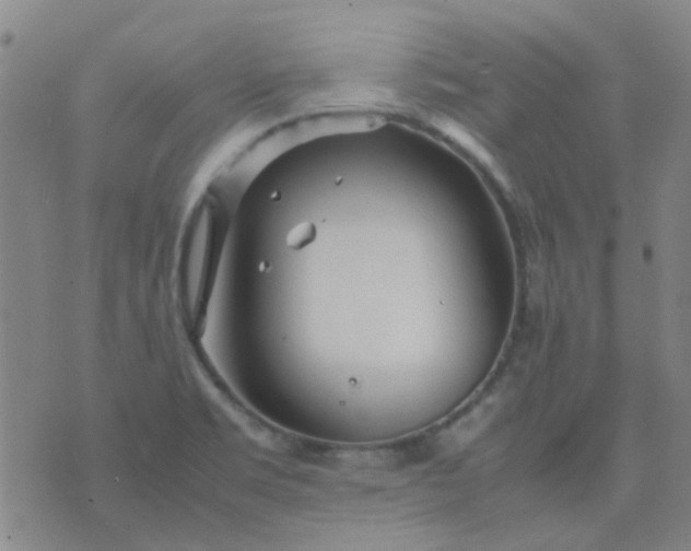 X0000074331469200609082020