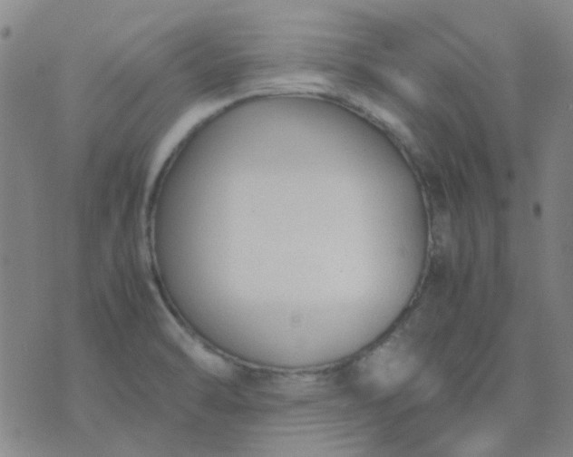 X0000074331470200609082020