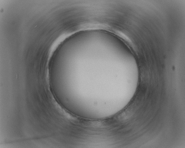 X0000074331472200609082020