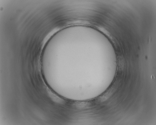 X0000074331474200609082020