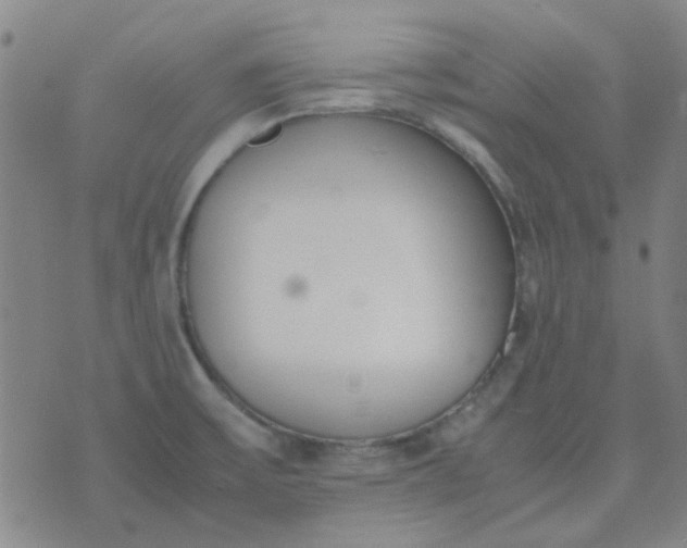 X0000074331475200609082020