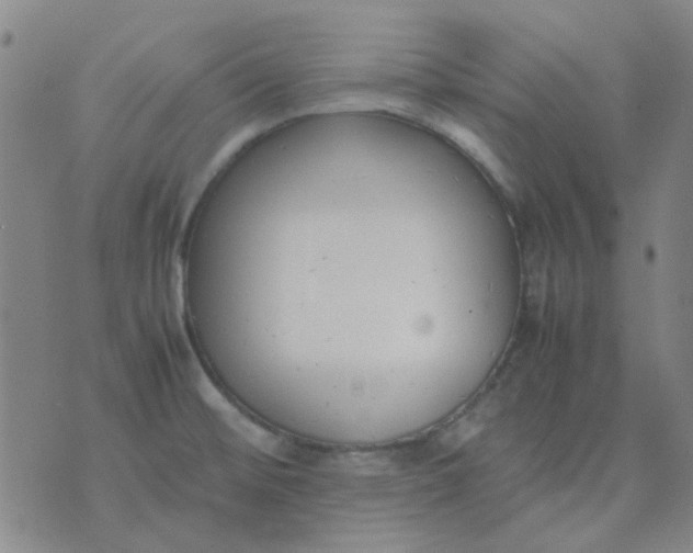 X0000074331476200609082020