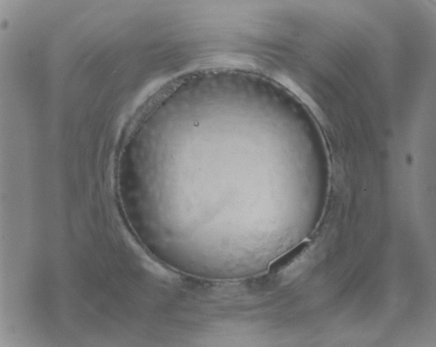 X0000074331477200609082020