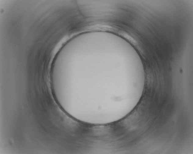 X0000074331478200609082020