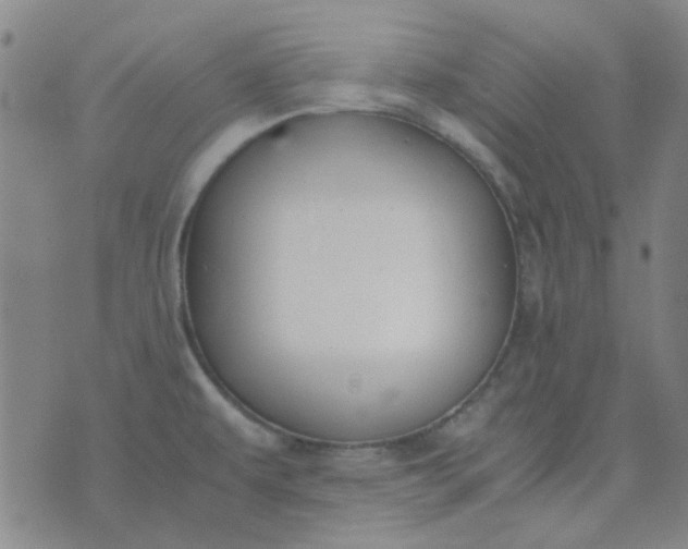 X0000074331479200609082020