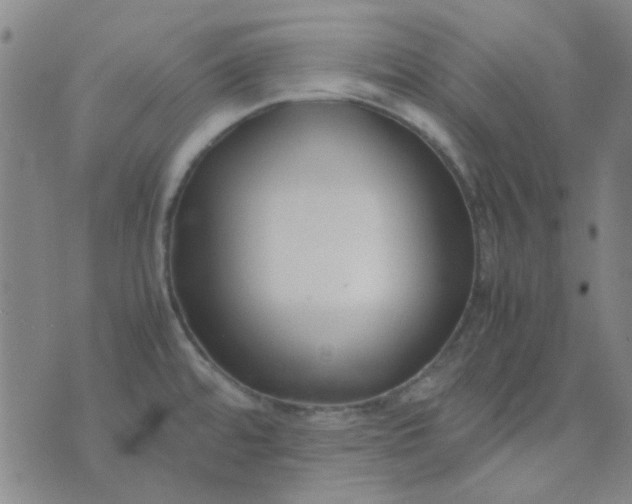 X0000074331480200609082020