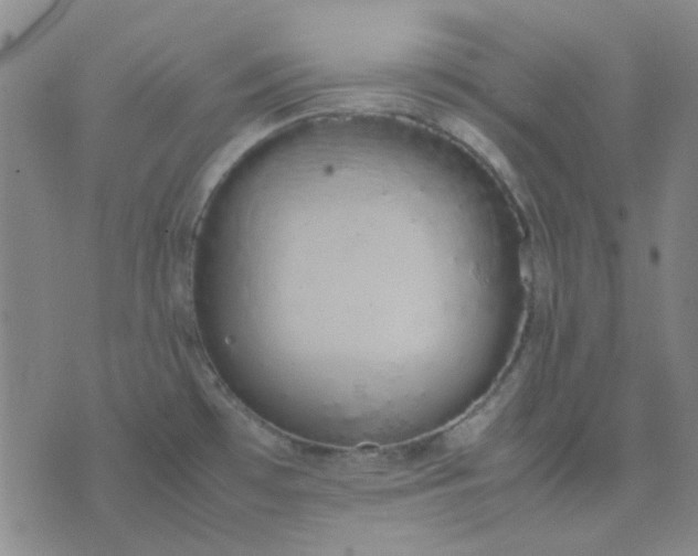 X0000074331481200609082020