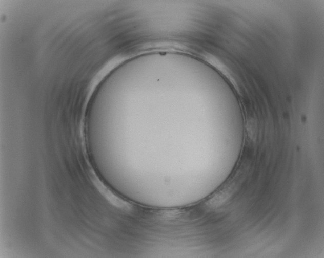 X0000074331482200609082020