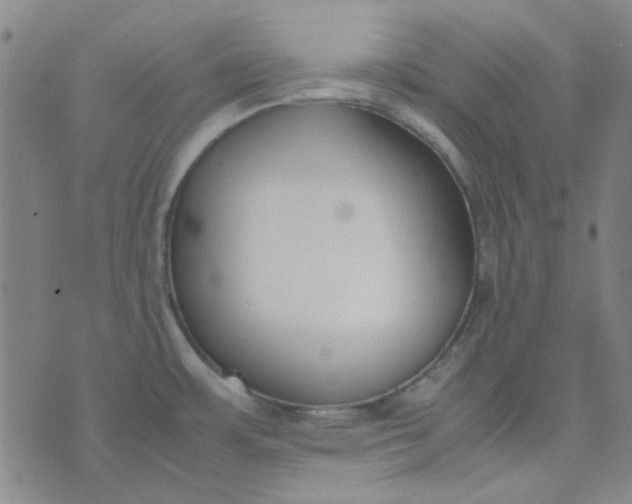 X0000074331483200609082020