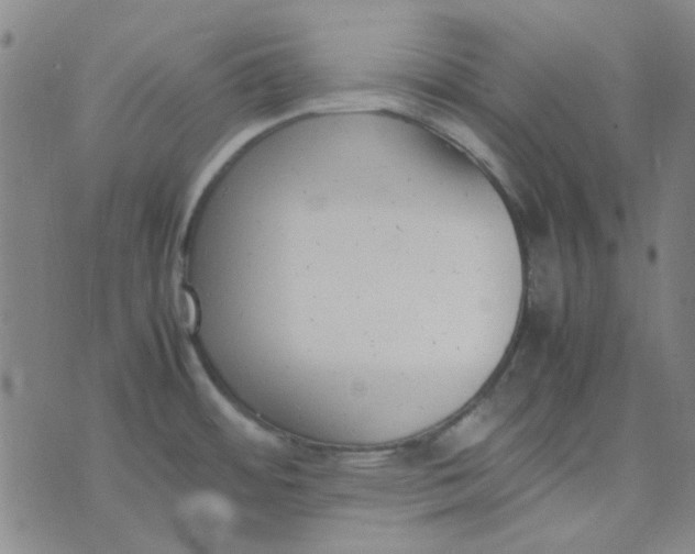 X0000074331484200609082020