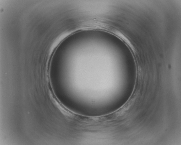 X0000074331485200609082020