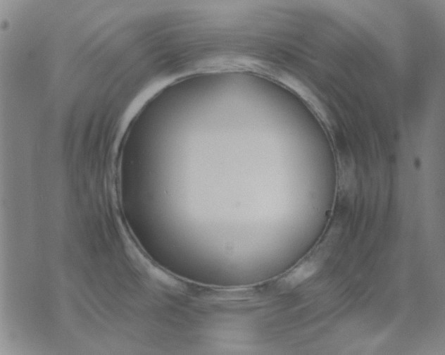 X0000074331486200609082019