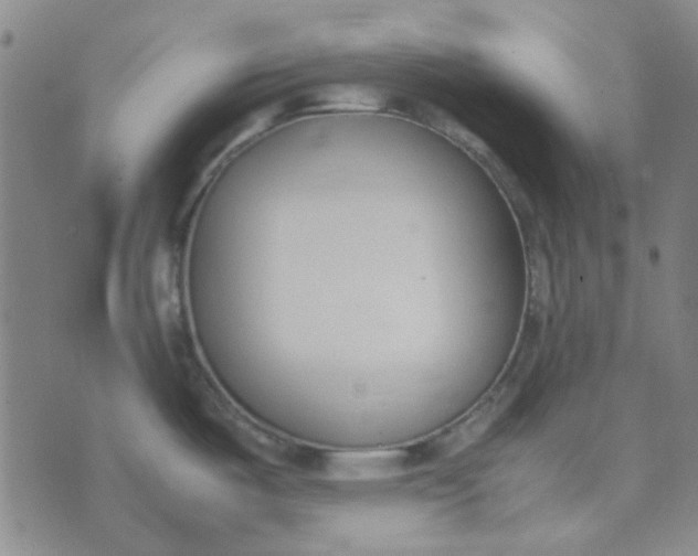 X0000074331487200609082019