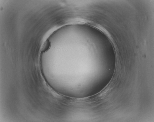 X0000074331488200609082019