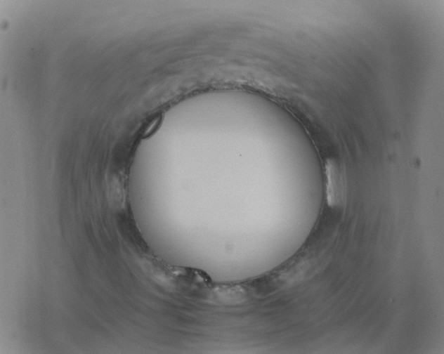 X0000074331491200609082019