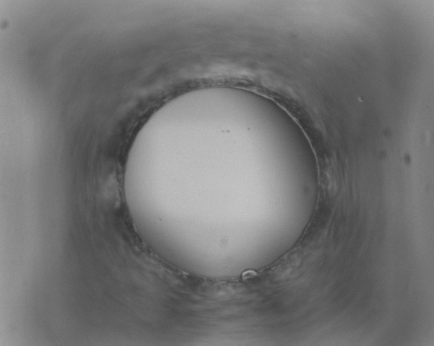 X0000074331493200609082019